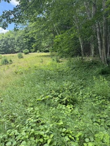 Part Of 743 Wottons Mill Road, Union ME Real Estate Listing | MLS# 1632416