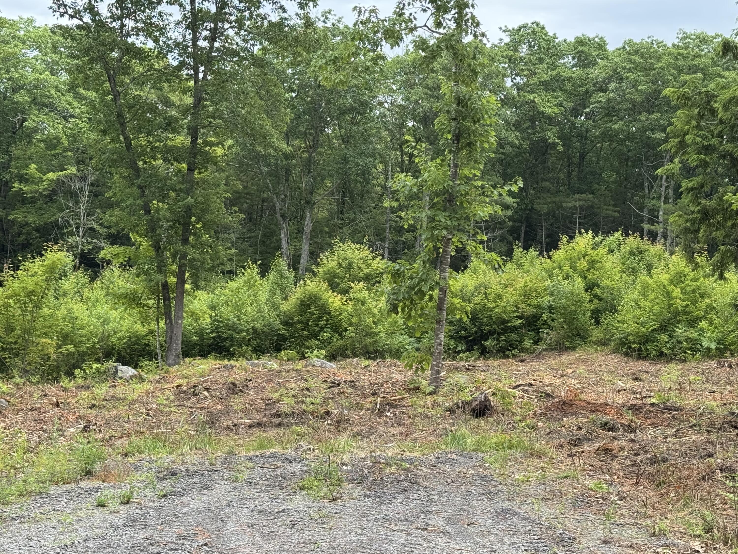 Lot 4 Cobbo Lane West Gardiner ME 04345