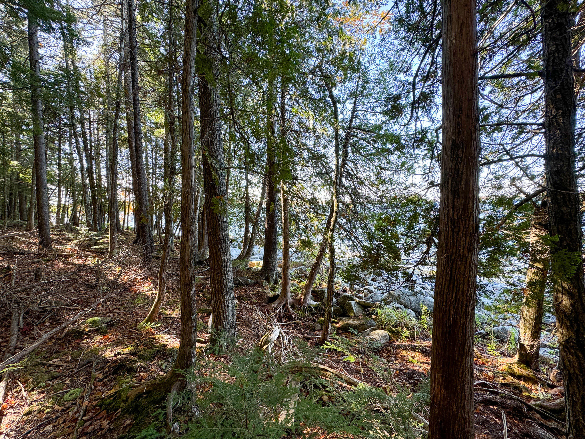 Lot 2 Loop Road Enfield ME 04493