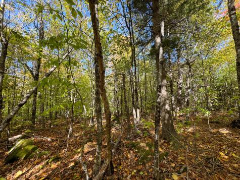 Lot 2 Loop Road Enfield ME 04493