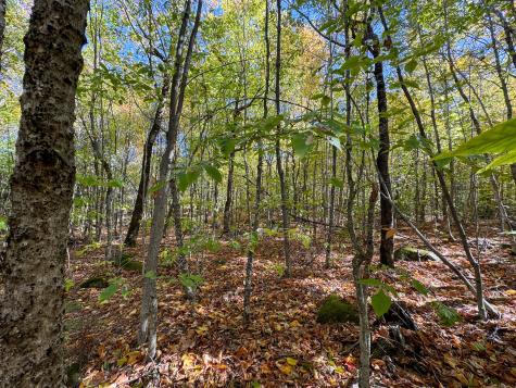 Lot 2 Loop Road Enfield ME 04493