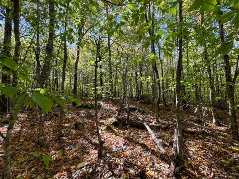 Lot 2 Loop Road Enfield ME 04493