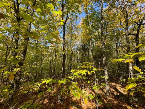 Lot 2 Loop Road Enfield ME 04493