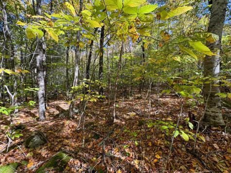 Lot 2 Loop Road Enfield ME 04493