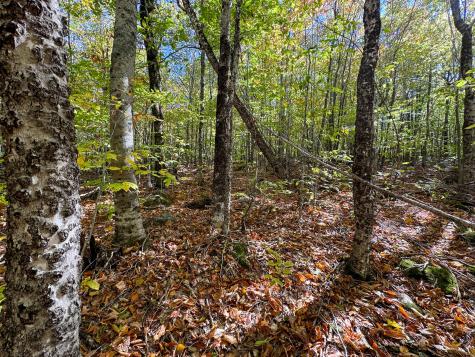 Lot 2 Loop Road Enfield ME 04493