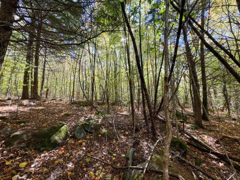 Lot 2 Loop Road Enfield ME 04493