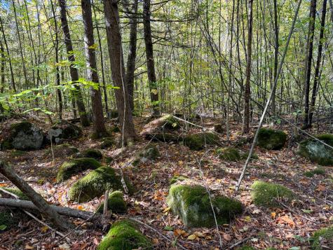 Lot 2 Loop Road Enfield ME 04493