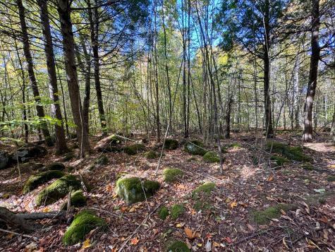 Lot 2 Loop Road Enfield ME 04493