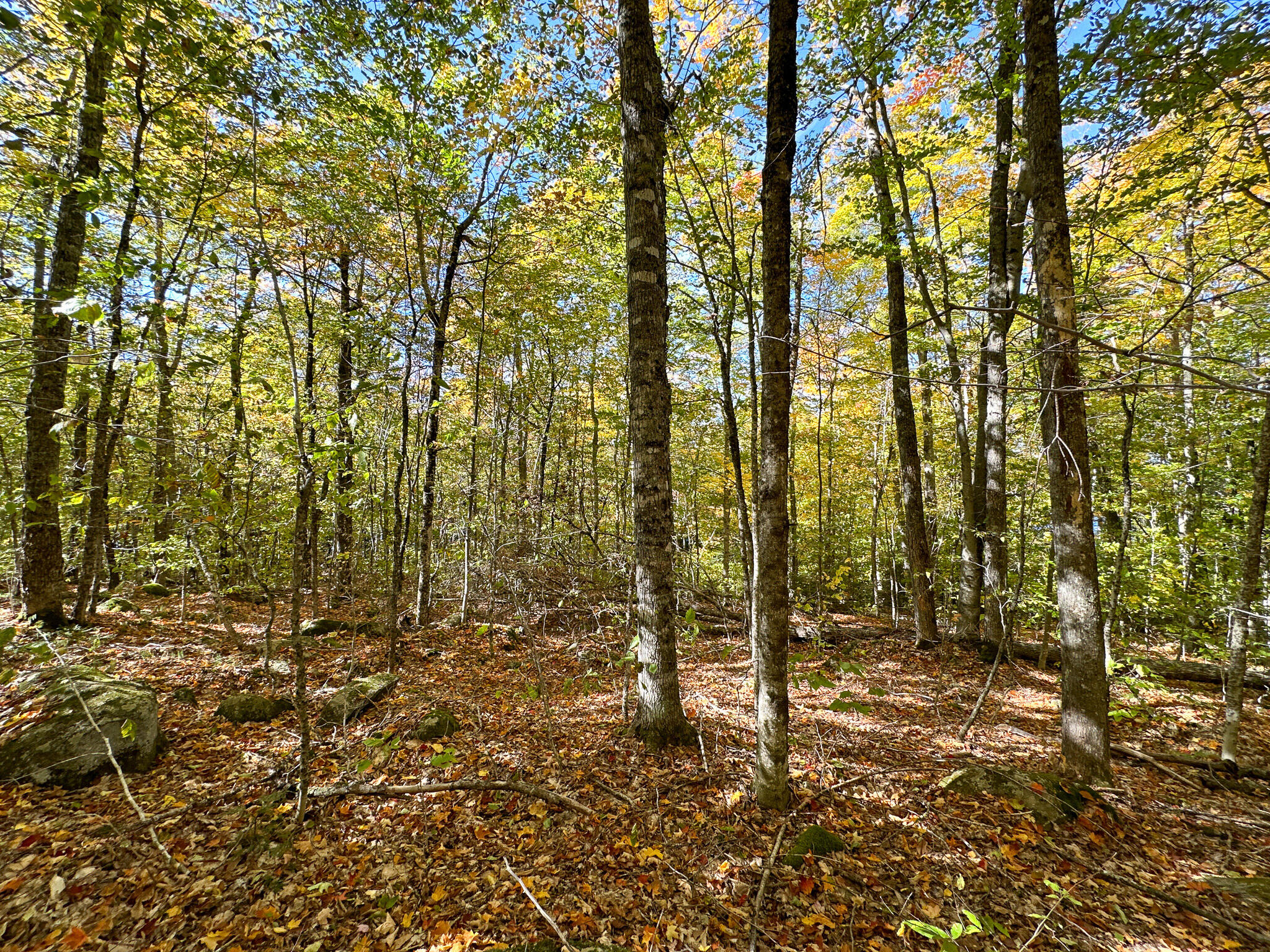 Lot 2 Loop Road Enfield ME 04493