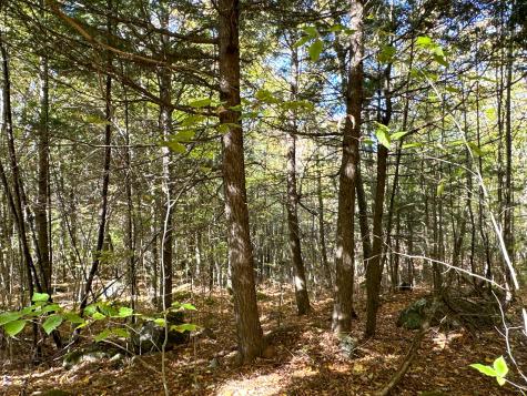 Lot 2 Loop Road Enfield ME 04493