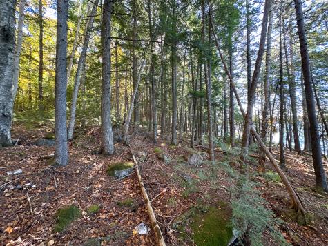 Lot 2 Loop Road Enfield ME 04493