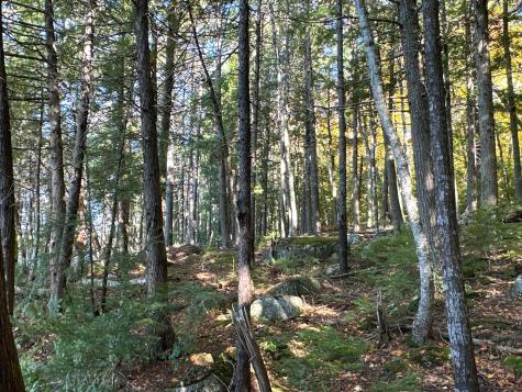 Lot 2 Loop Road Enfield ME 04493