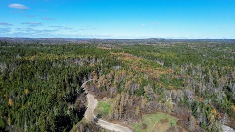 Lot 4 Holmes Bay Farm Whiting ME 04691