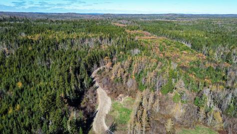 Lot 4 Holmes Bay Farm Whiting ME 04691