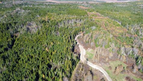 Lot 4 Holmes Bay Farm Whiting ME 04691