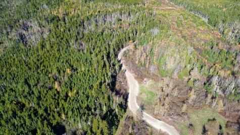 Lot 4 Holmes Bay Farm Whiting ME 04691