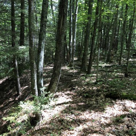 Lots 1-6 Pike Road Wells ME 04090