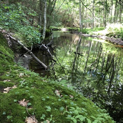 Lots 1-6 Pike Road Wells ME 04090