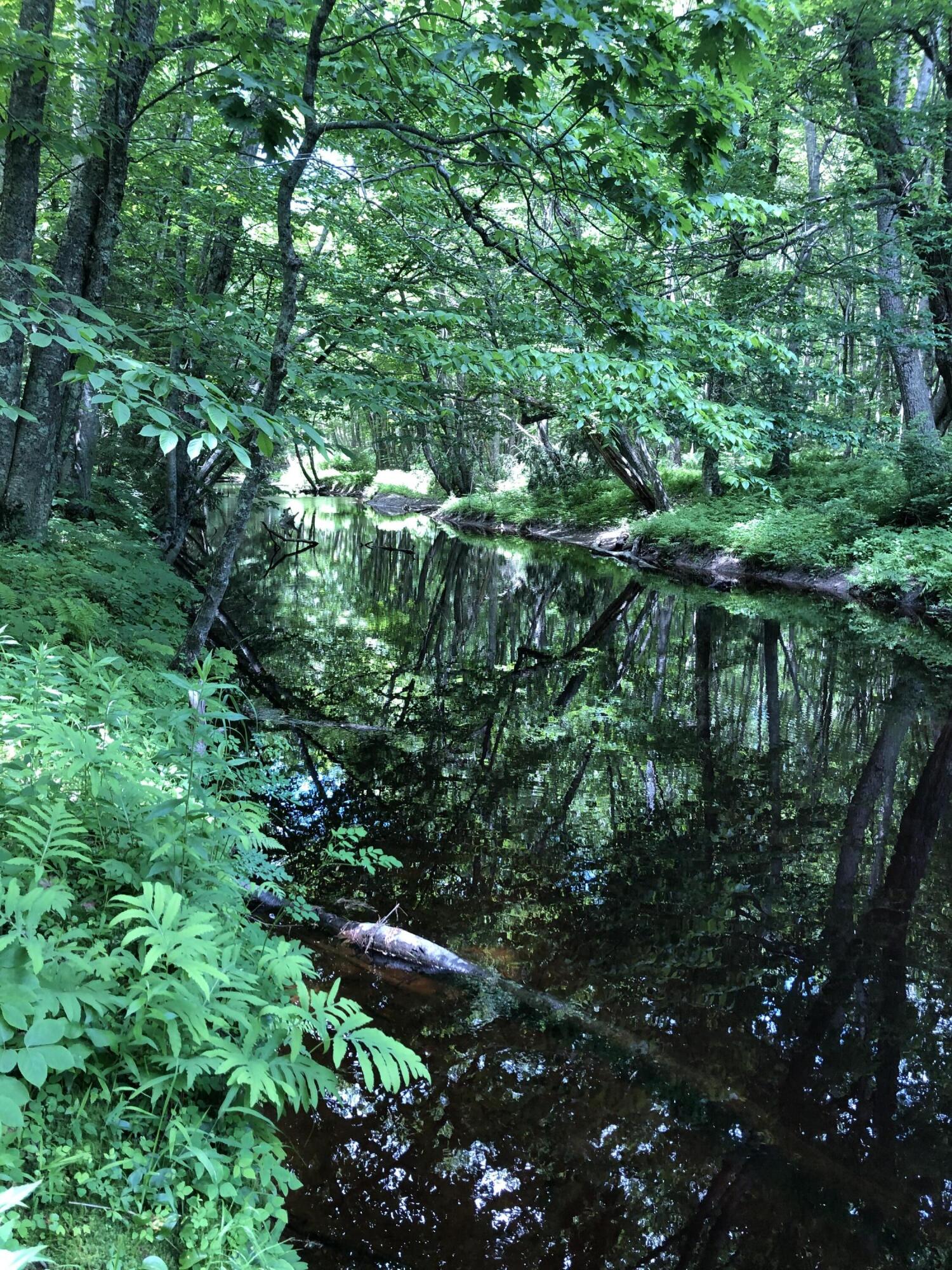 Lots 1-6 Pike Road Wells ME 04090