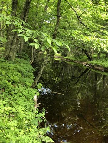 Lots 1-6 Pike Road Wells ME 04090