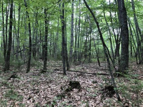 Lots 1-6 Pike Road Wells ME 04090