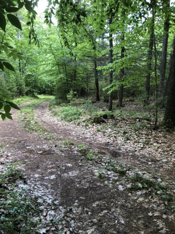 Lots 1-6 Pike Road Wells ME 04090