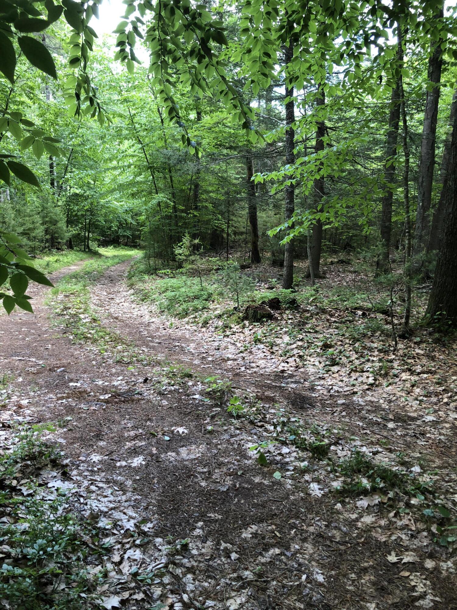 Lots 1-6 Pike Road Wells ME 04090