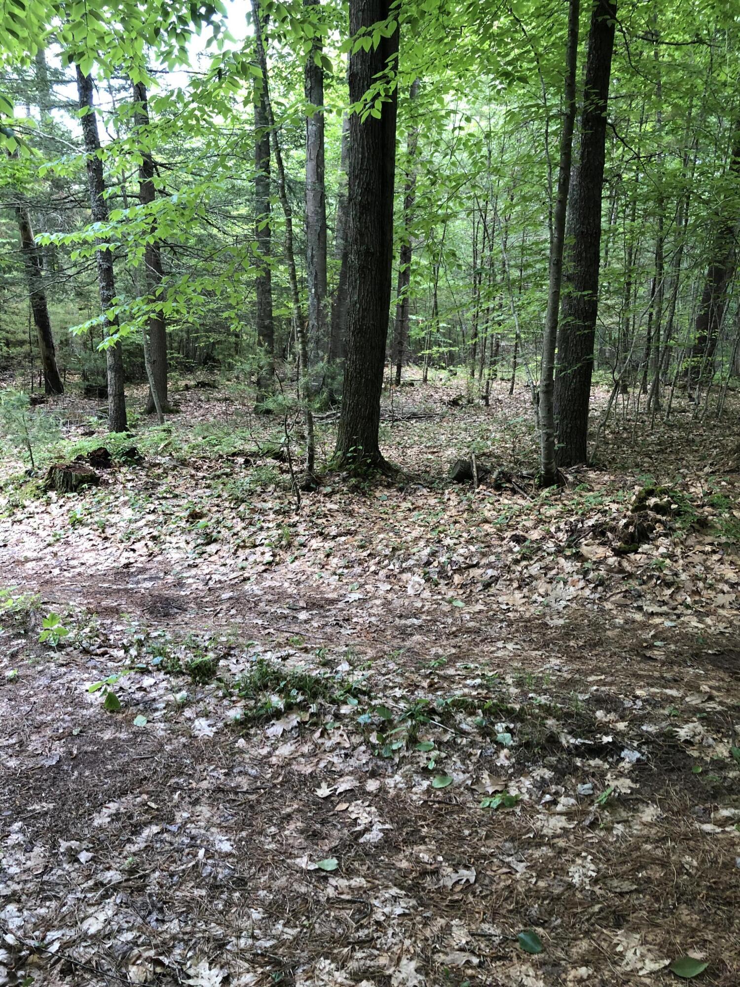 Lots 1-6 Pike Road Wells ME 04090