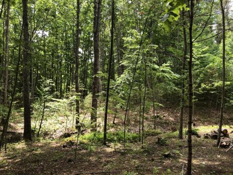 Lots 1-6 Pike Road Wells ME 04090