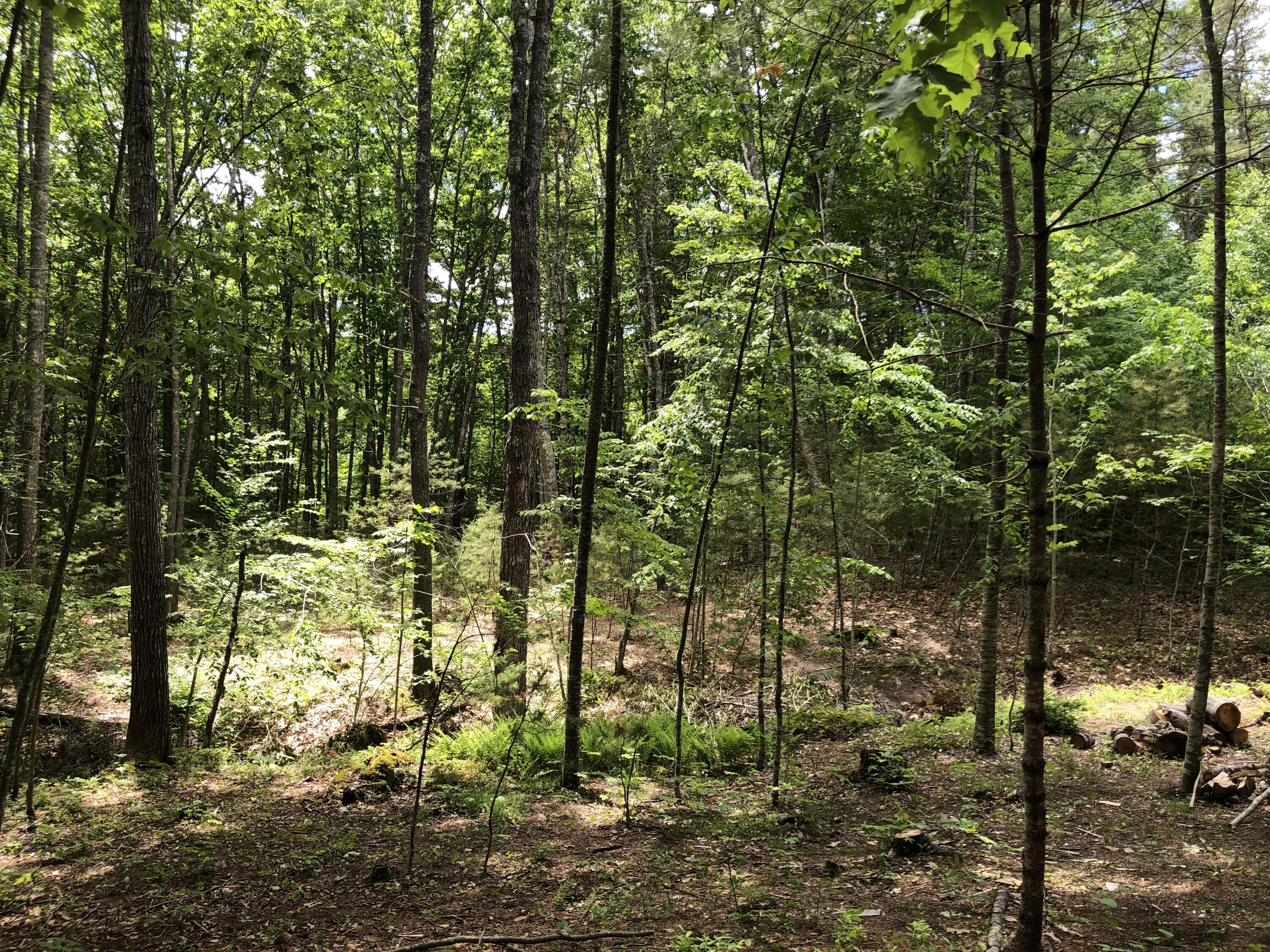 Lots 1-6 Pike Road Wells ME 04090