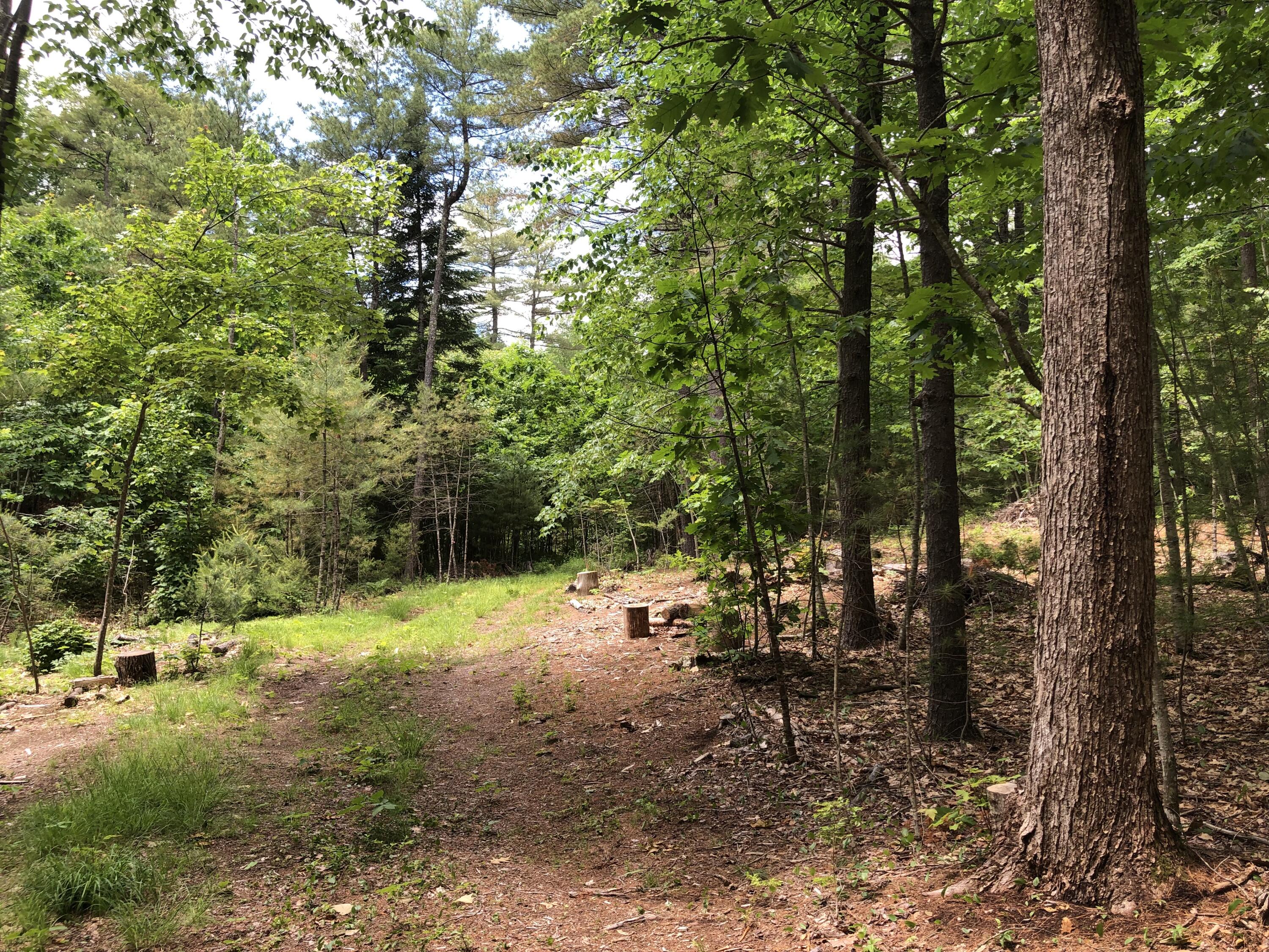 Lots 1-6 Pike Road Wells ME 04090