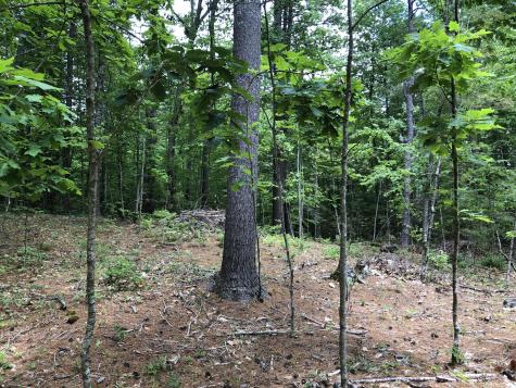 Lots 1-6 Pike Road Wells ME 04090