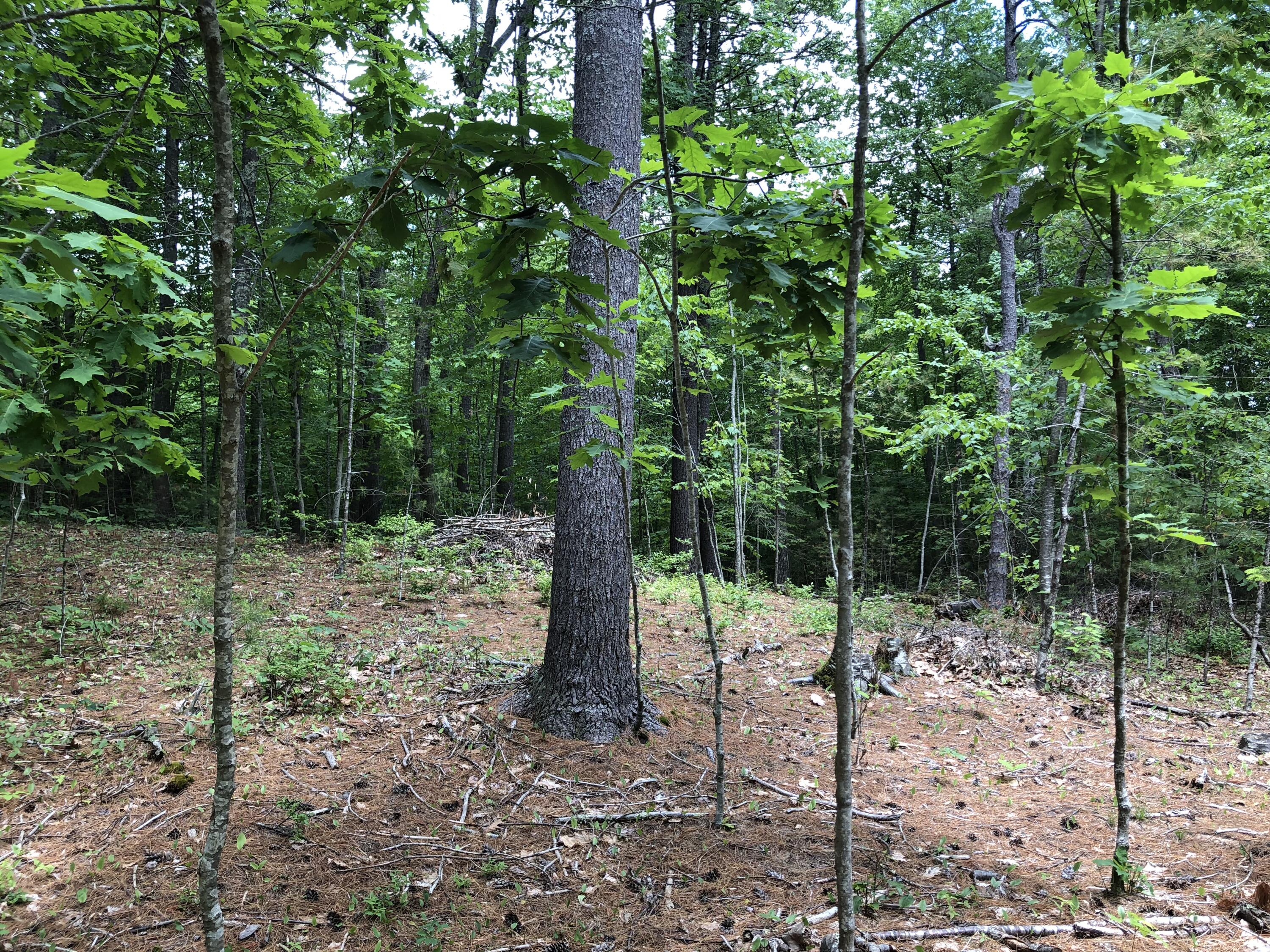 Lots 1-6 Pike Road Wells ME 04090