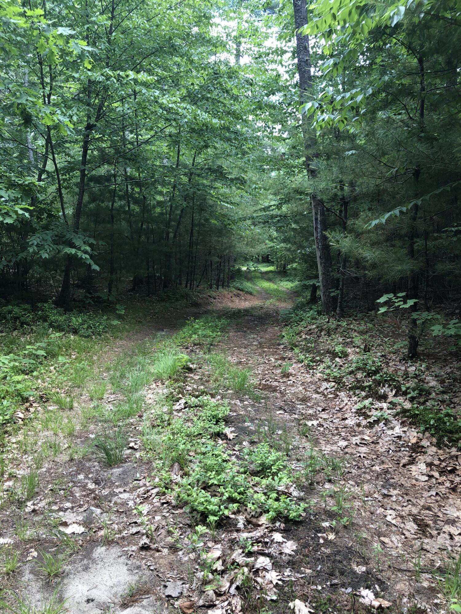 Lots 1-6 Pike Road Wells ME 04090