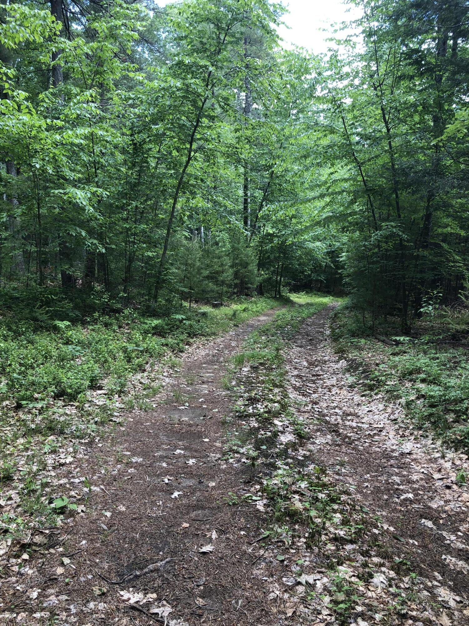 Lots 1-6 Pike Road Wells ME 04090