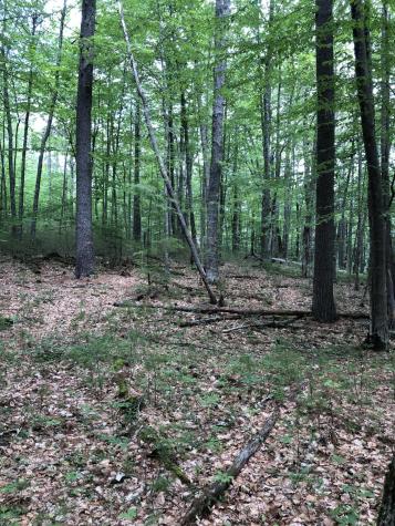 Lots 1-6 Pike Road Wells ME 04090