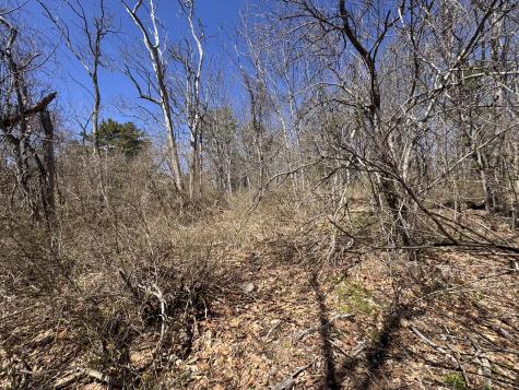 Lot 31 Parker Point Road Blue Hill ME 04614