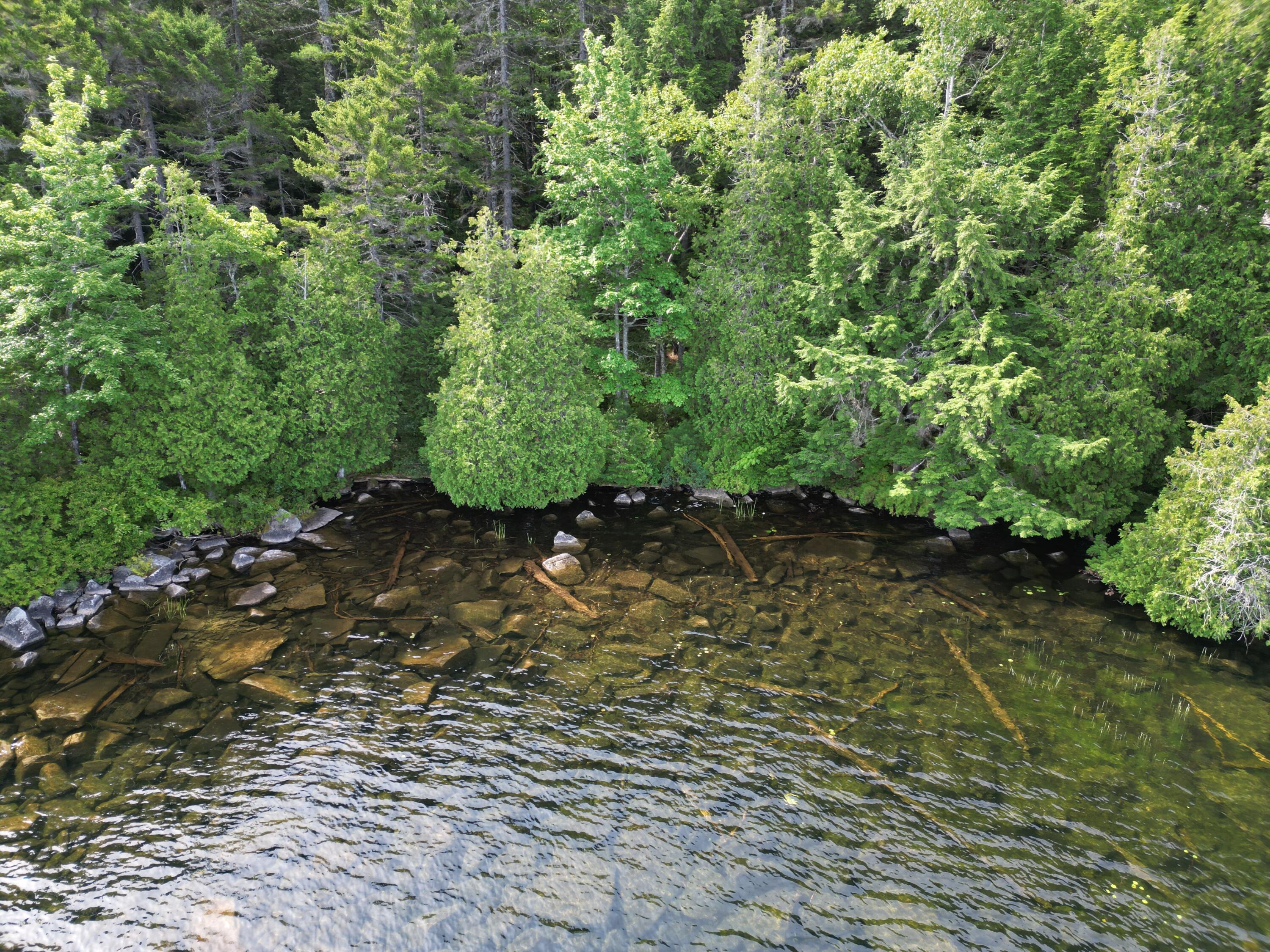 20 Stanhope Mill Road Lincoln ME 04457