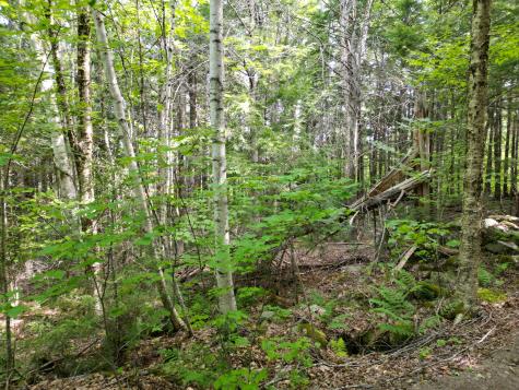 20 Stanhope Mill Road Lincoln ME 04457