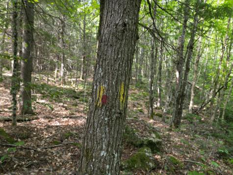 20 Stanhope Mill Road Lincoln ME 04457