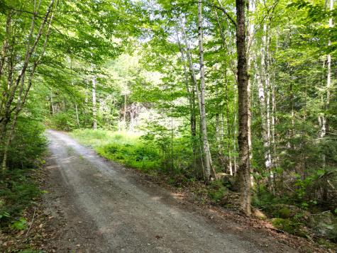 20 Stanhope Mill Road Lincoln ME 04457