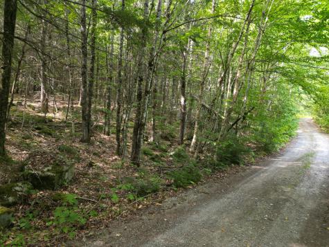 20 Stanhope Mill Road Lincoln ME 04457