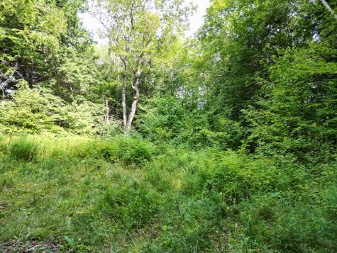 20 Stanhope Mill Road Lincoln ME 04457