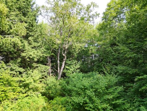 20 Stanhope Mill Road Lincoln ME 04457