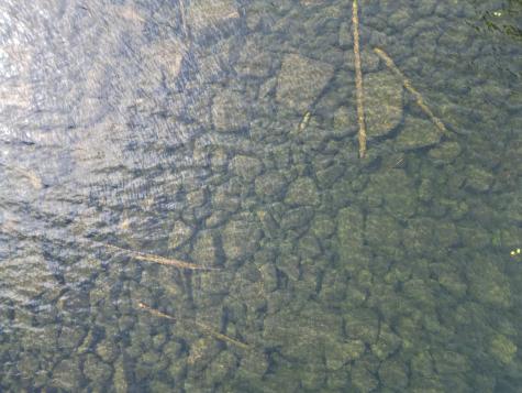 20 Stanhope Mill Road Lincoln ME 04457