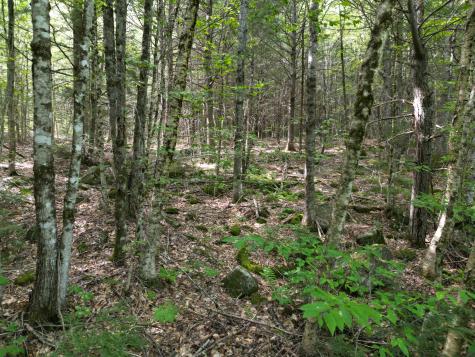 20 Stanhope Mill Road Lincoln ME 04457