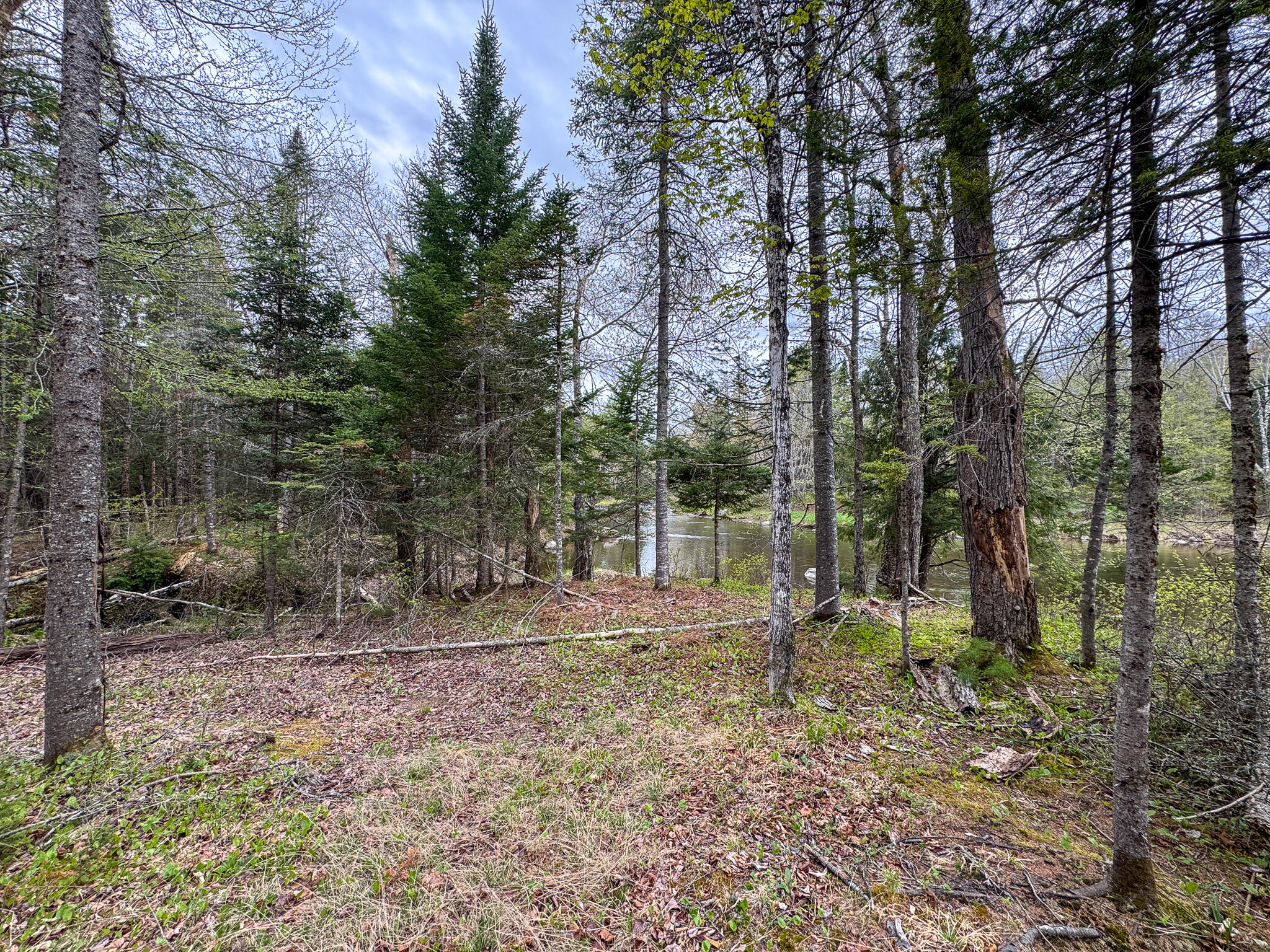 M5L59 Off Monument Road Abbot ME 04406