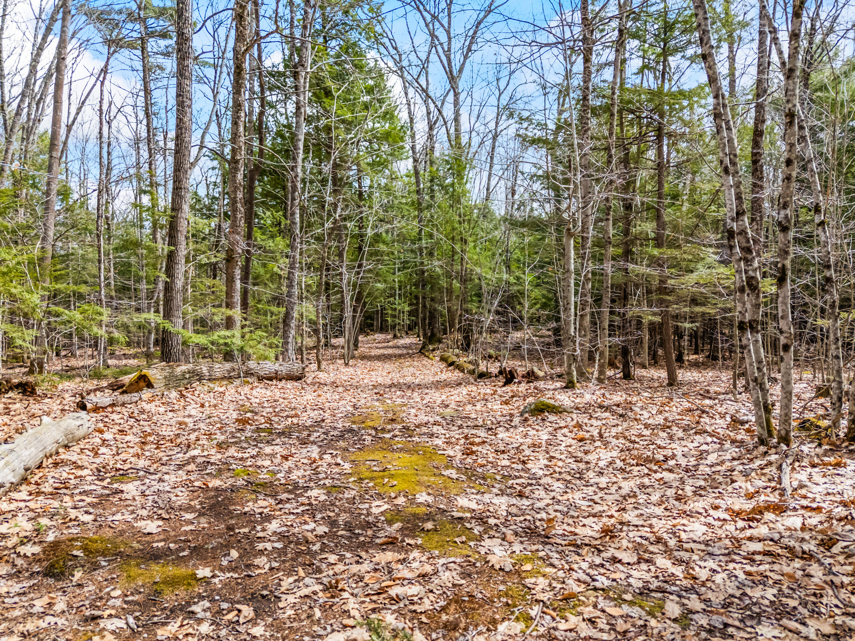 Tbd Brunswick Road Richmond ME 04357