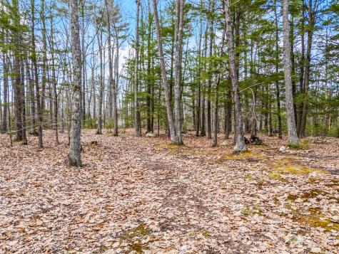 Tbd Brunswick Road Richmond ME 04357