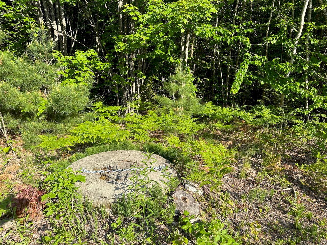 324 River Road Norridgewock, ME